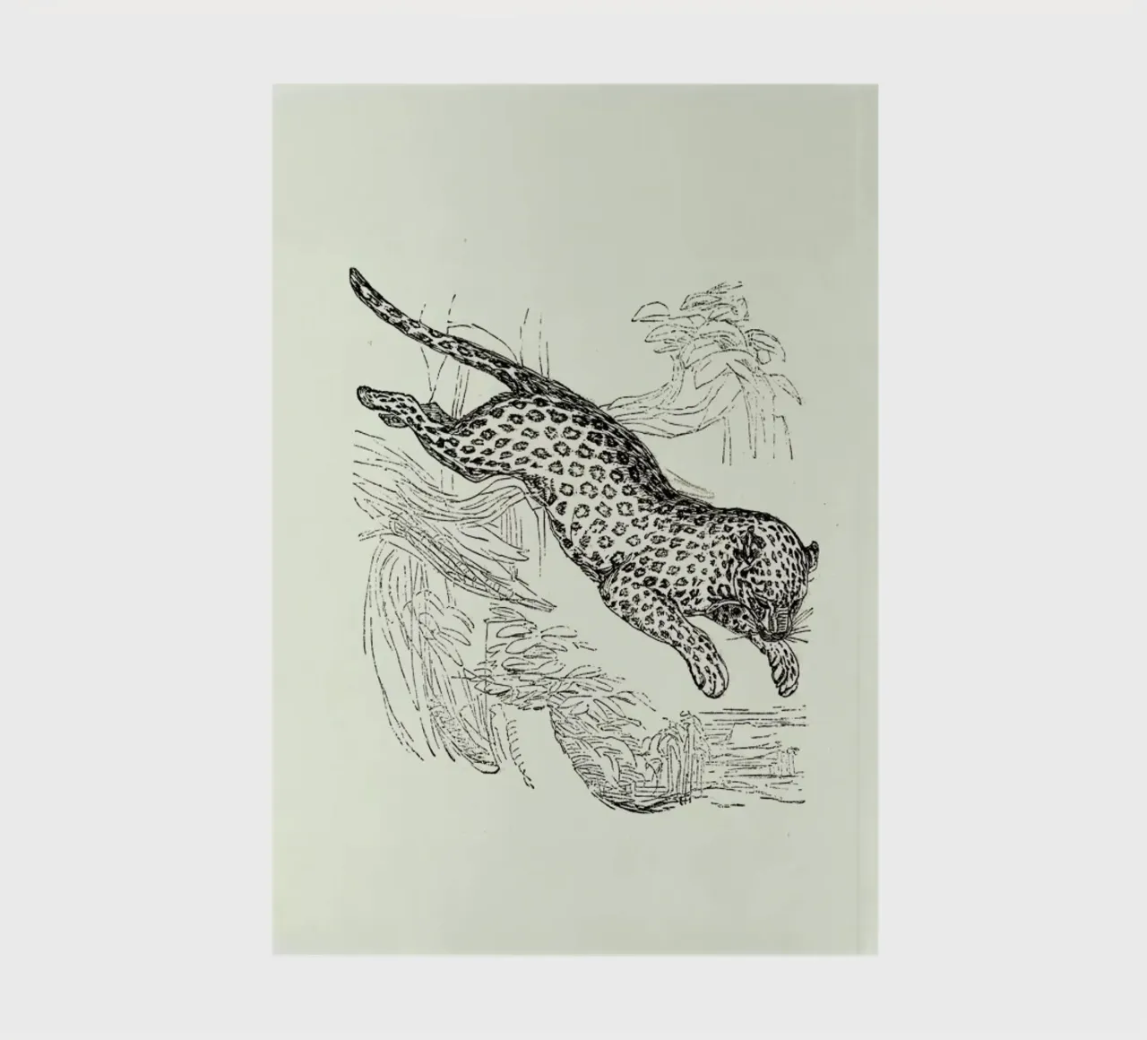 Leopard notebook by Flora & Fauna