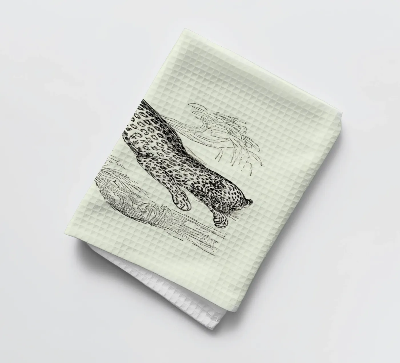 Leopard torchon de Flora & Fauna