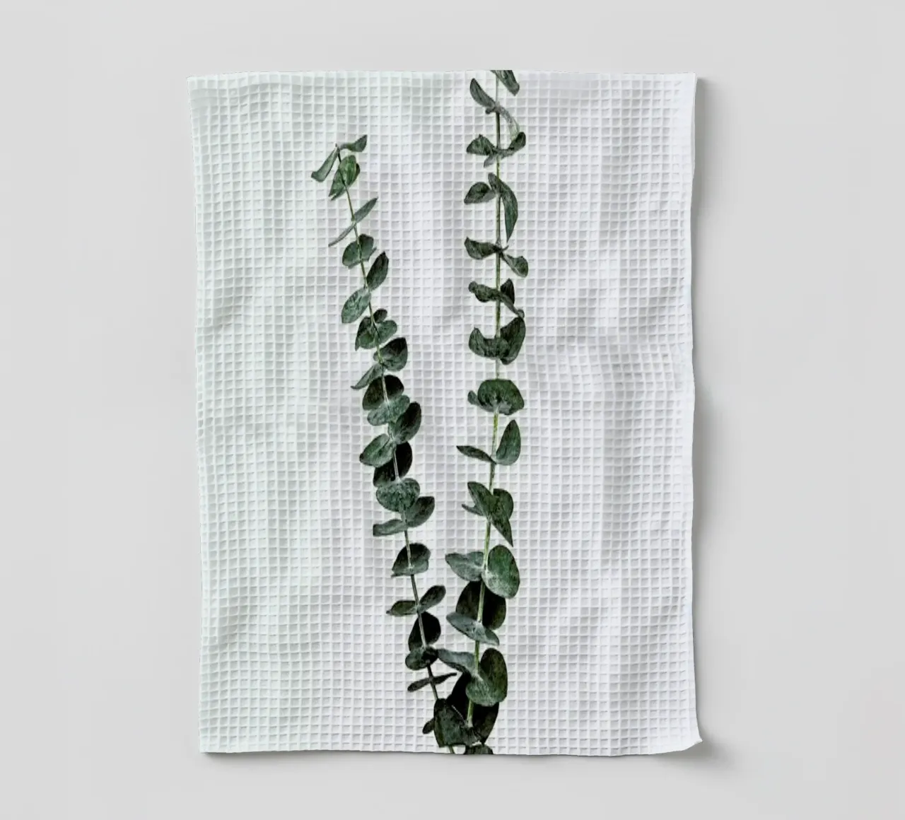Silver Dollar Plant Geschirrtuch von Flora & Fauna