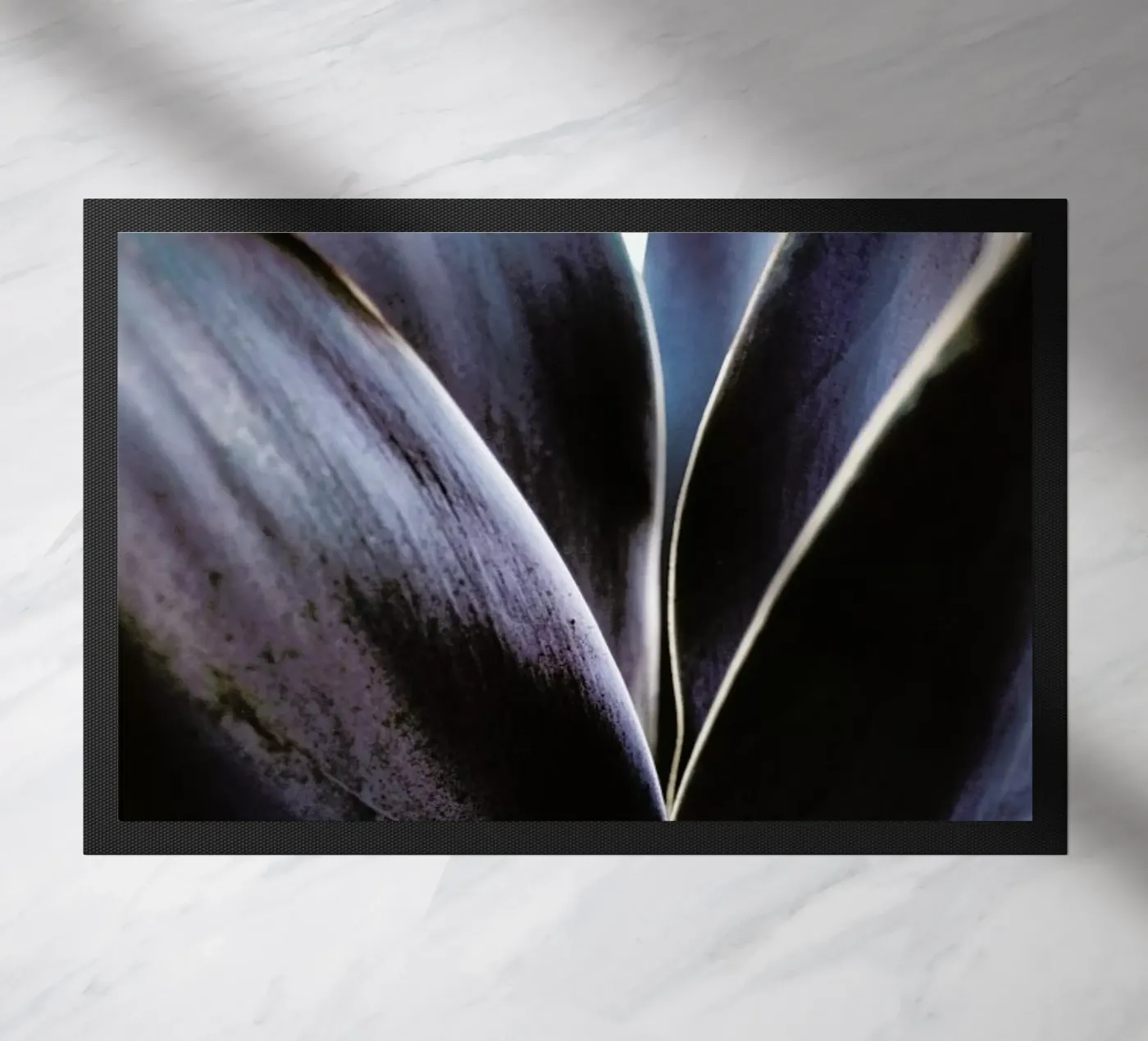 Blue Agave zerbino da Chris Abatzis