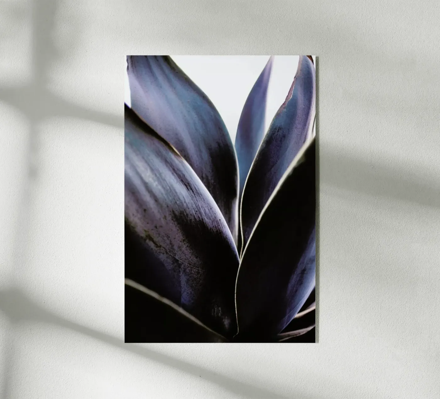 Blue Agave plexiglas de Chris Abatzis