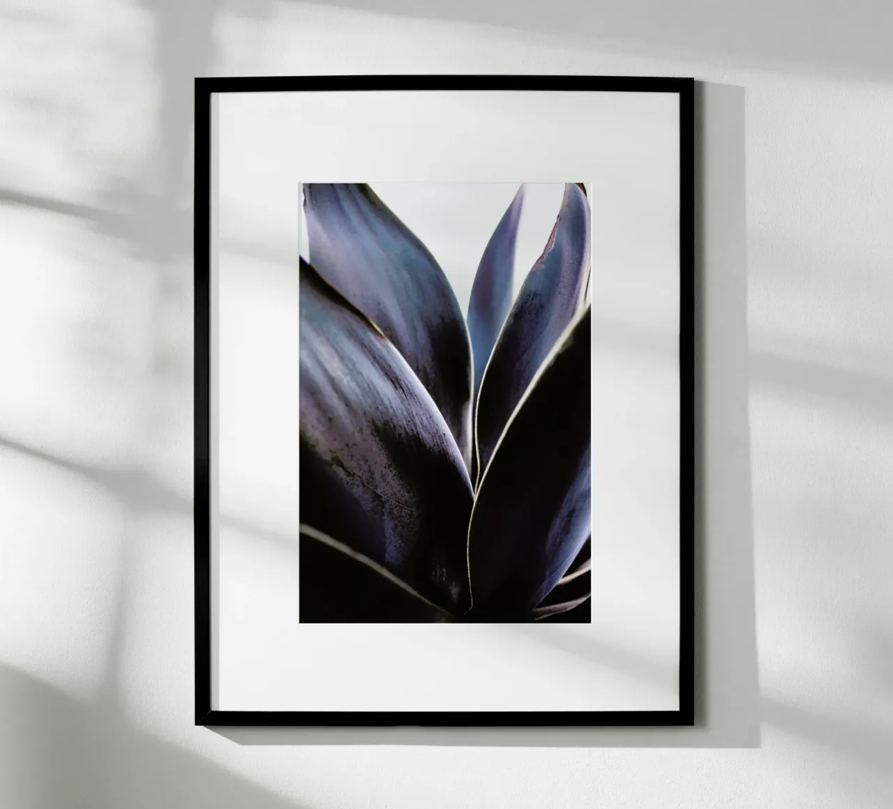 Blue Agave poster da Chris Abatzis