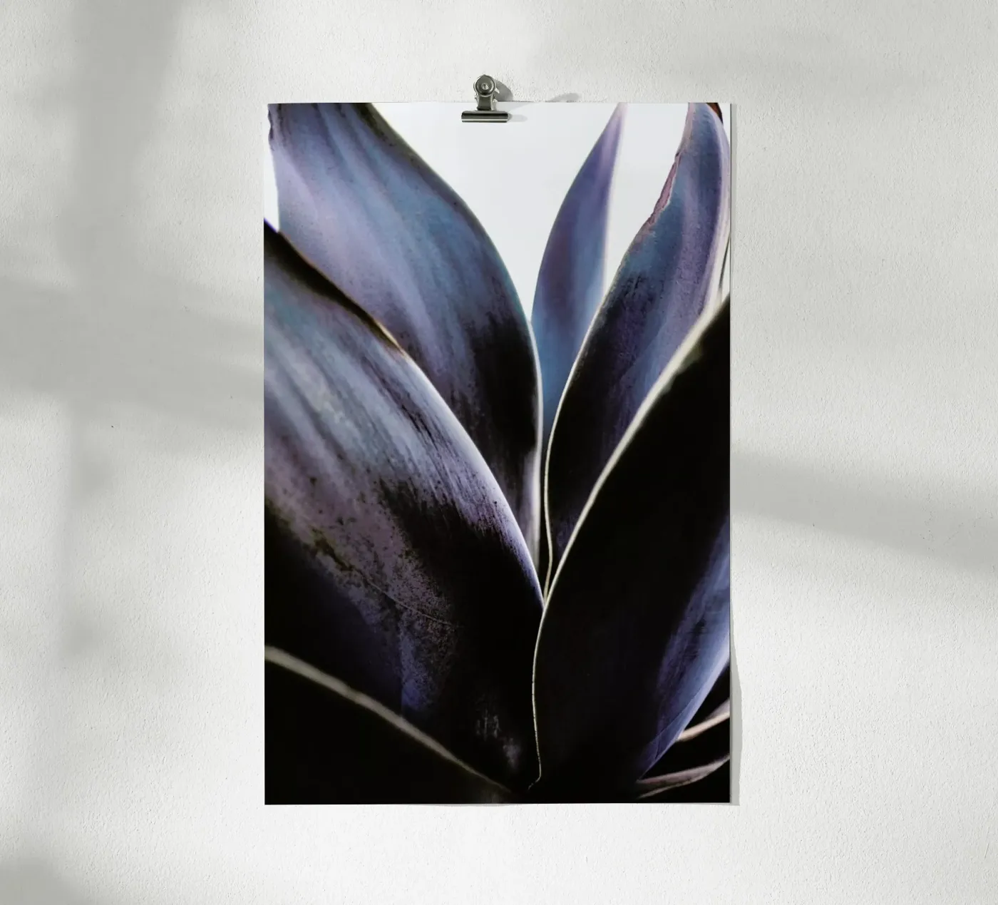 Blue Agave poster da Chris Abatzis