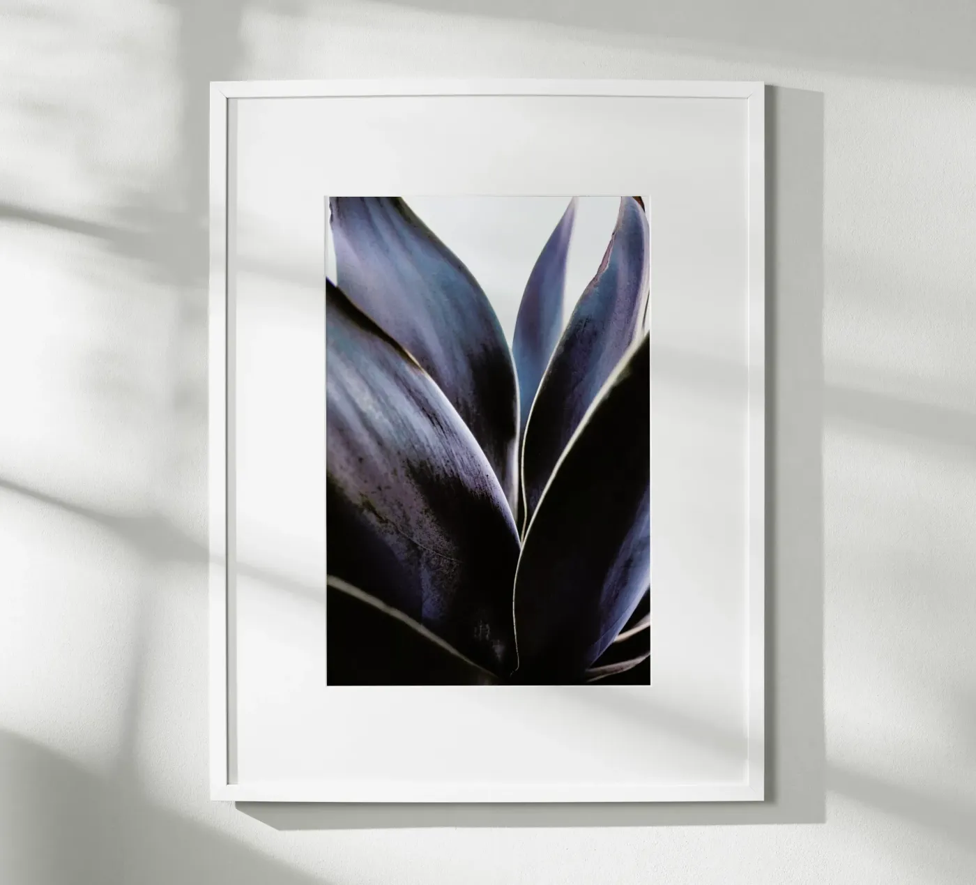 Blue Agave poster da Chris Abatzis