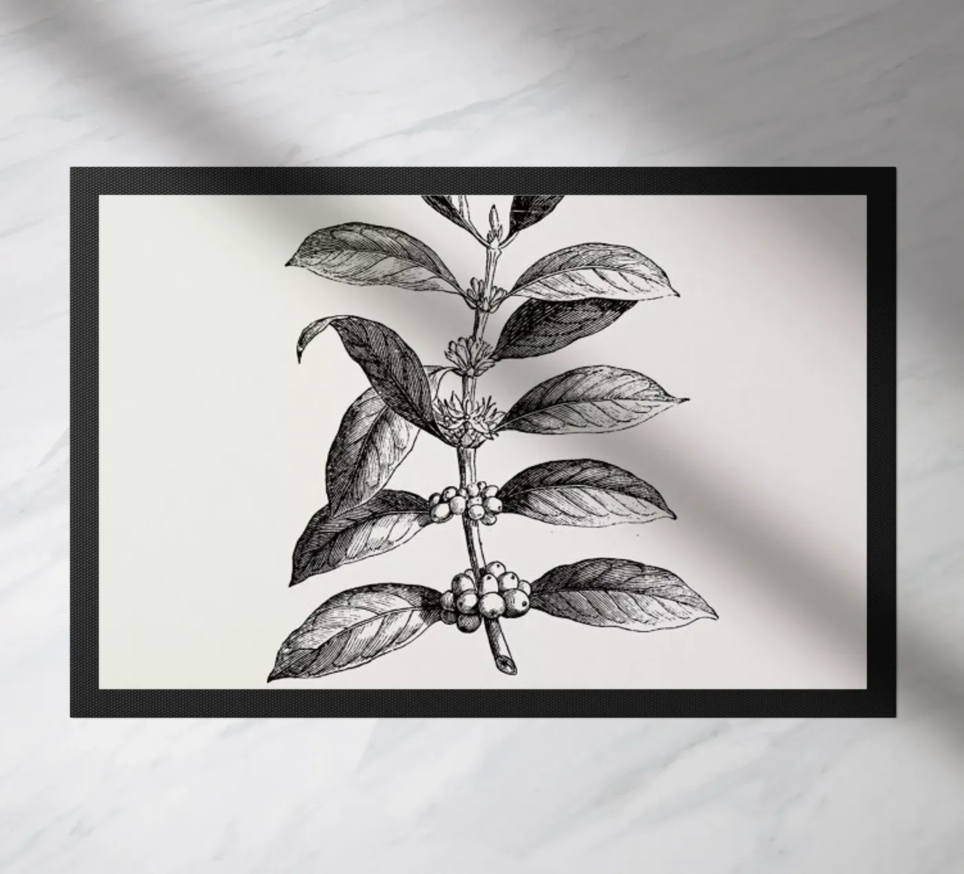 Coffee Plant zerbino da Flora & Fauna