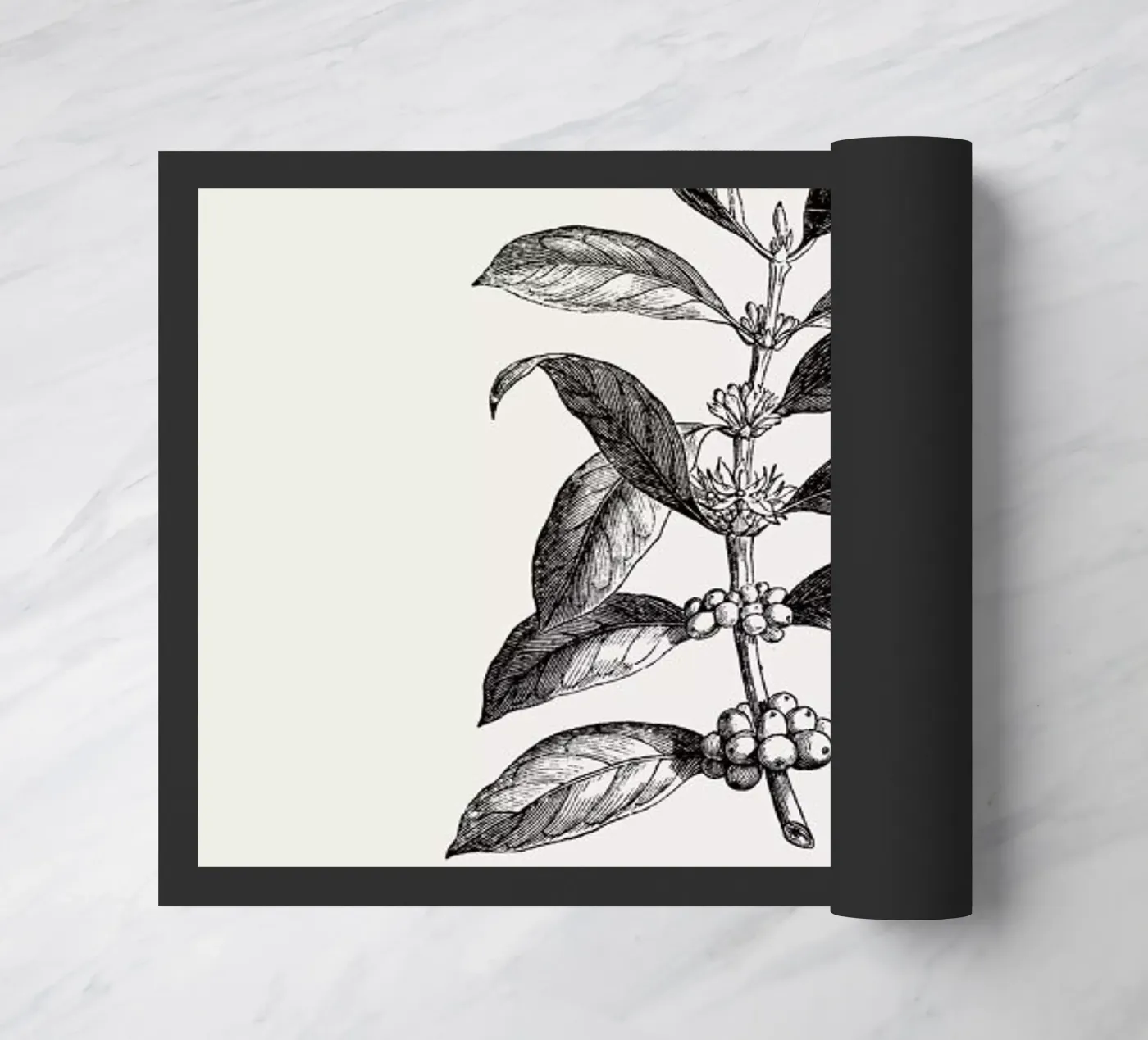 Coffee Plant zerbino da Flora & Fauna