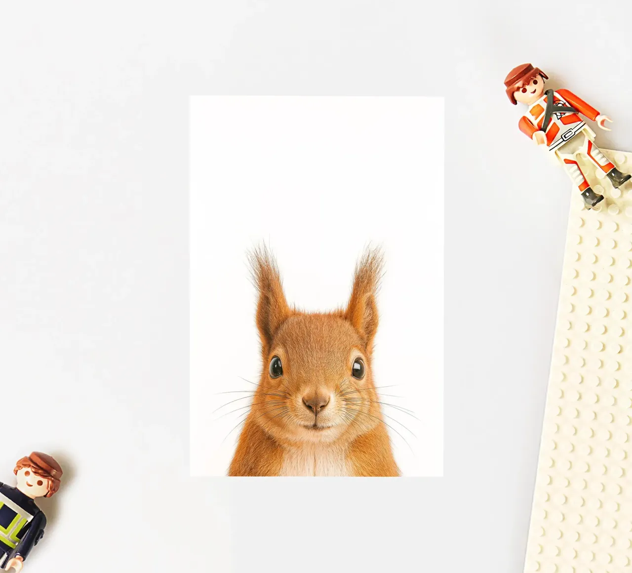 Studio Critter No. 2 - Nuts About You adesivo da KidzStudio