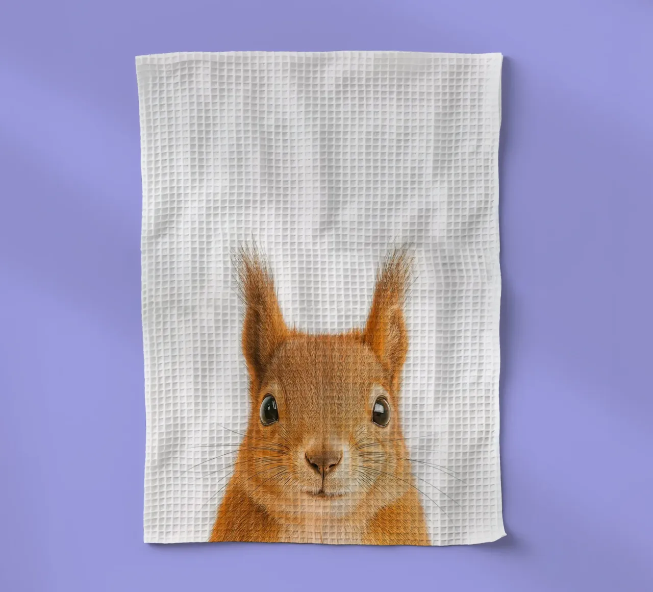 Studio Critter No. 2 - Nuts About You canovaccio da cucina da KidzStudio