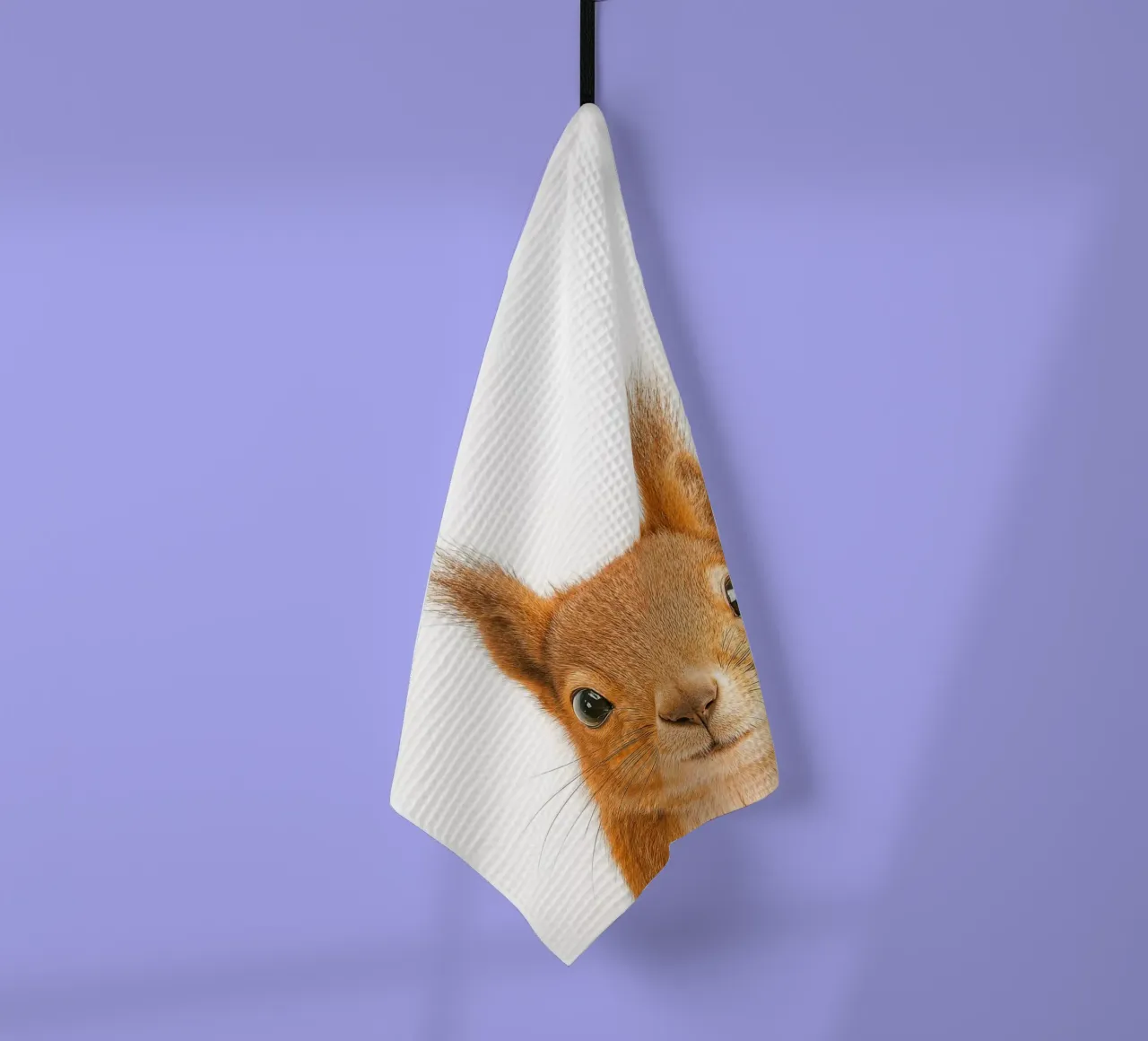Studio Critter No. 2 - Nuts About You canovaccio da cucina da KidzStudio