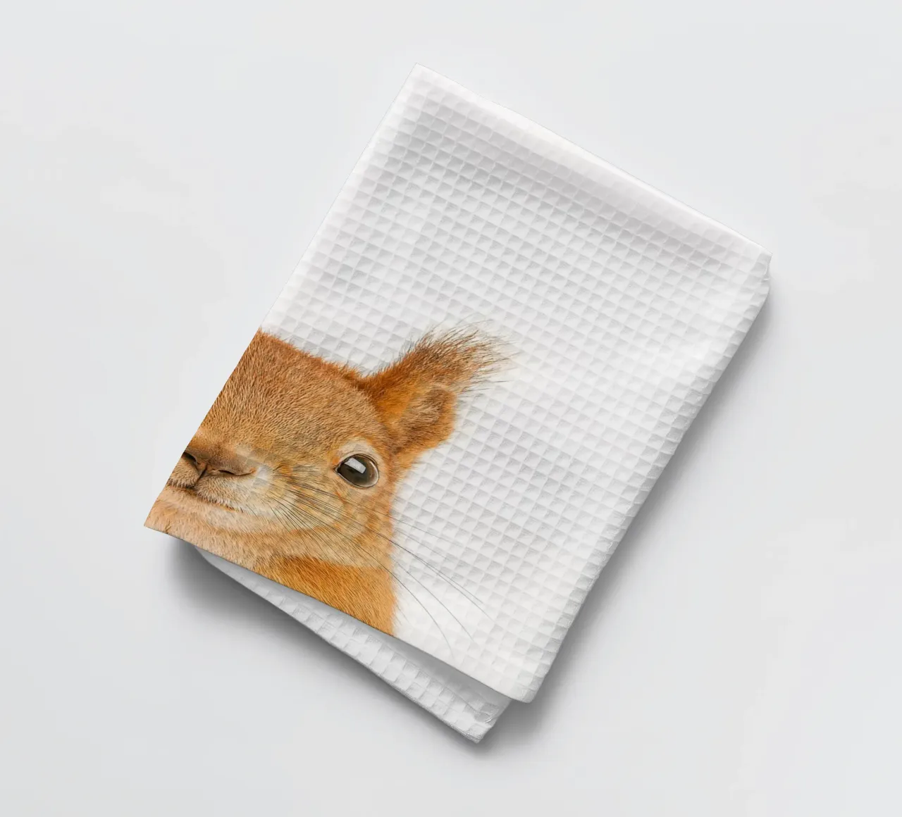 Studio Critter No. 2 - Nuts About You canovaccio da cucina da KidzStudio