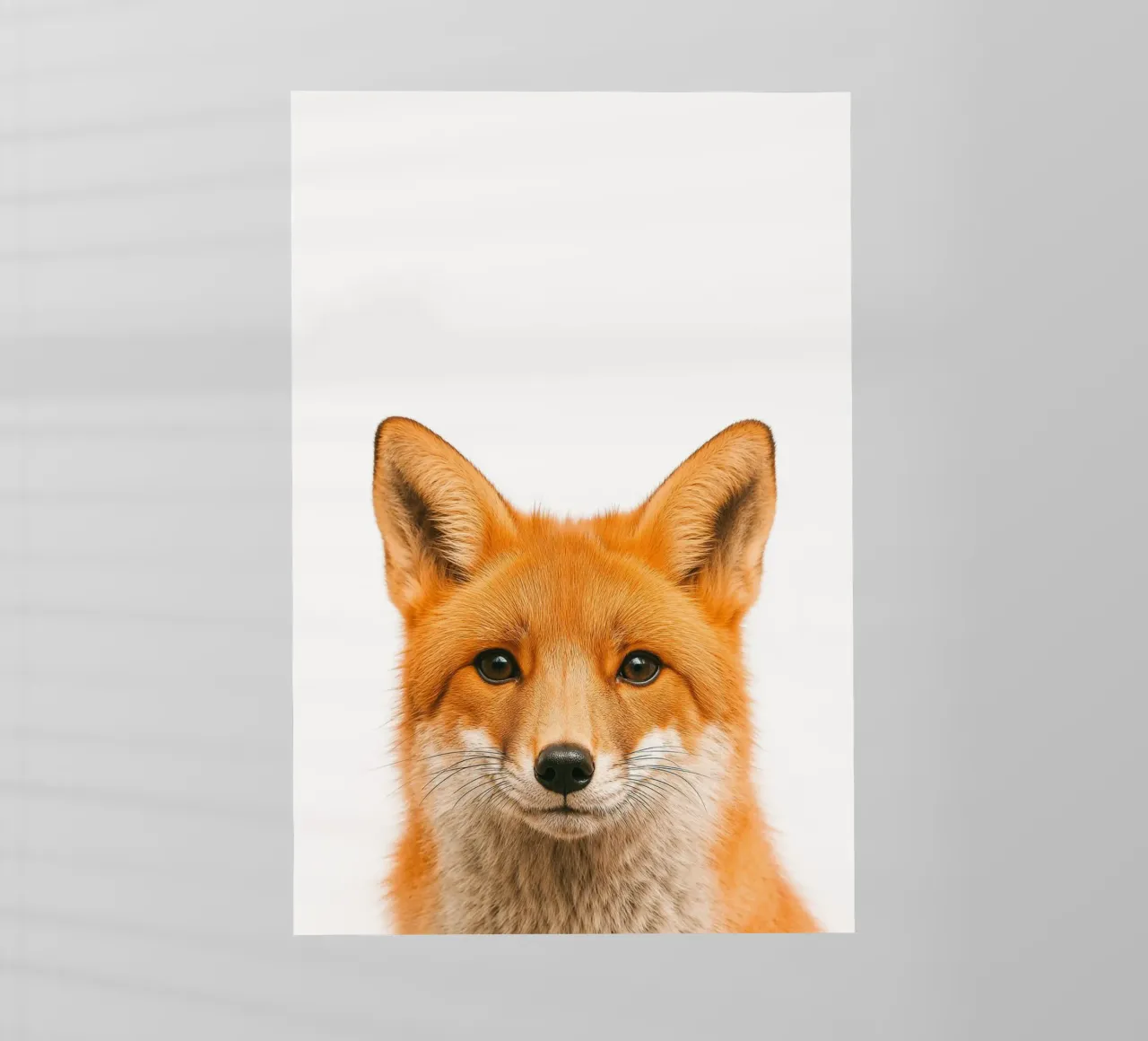 Studio Critter No. 3 - Clever Eyes pellicola backlit da KidzStudio