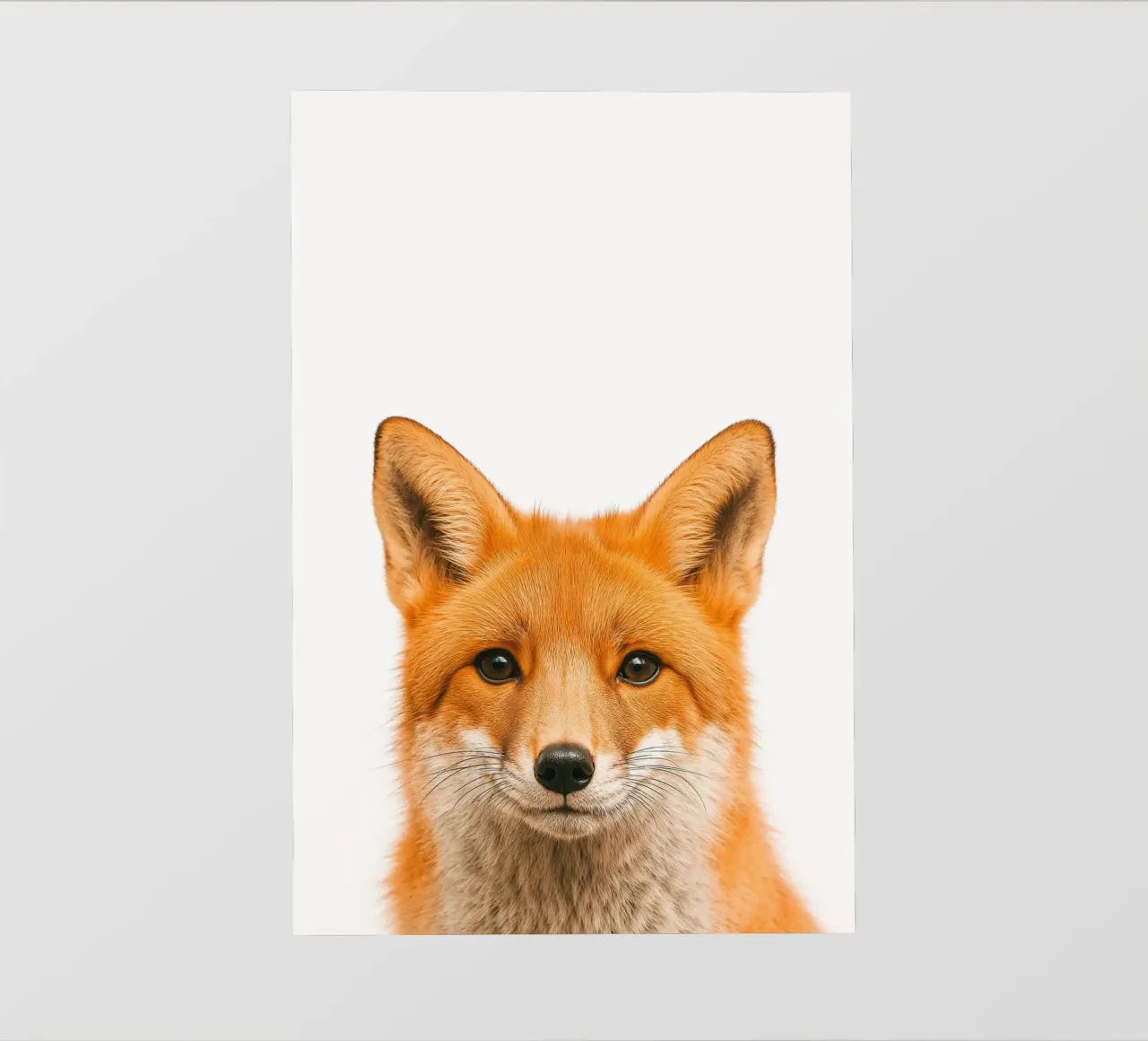 Studio Critter No. 3 - Clever Eyes pellicola backlit da KidzStudio