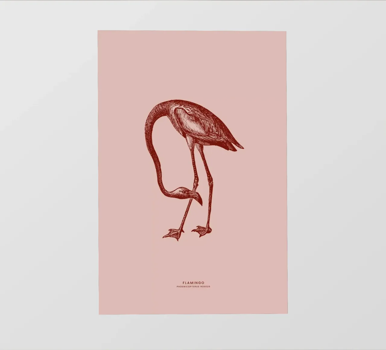 Flamingo II pellicola backlit da Flora & Fauna