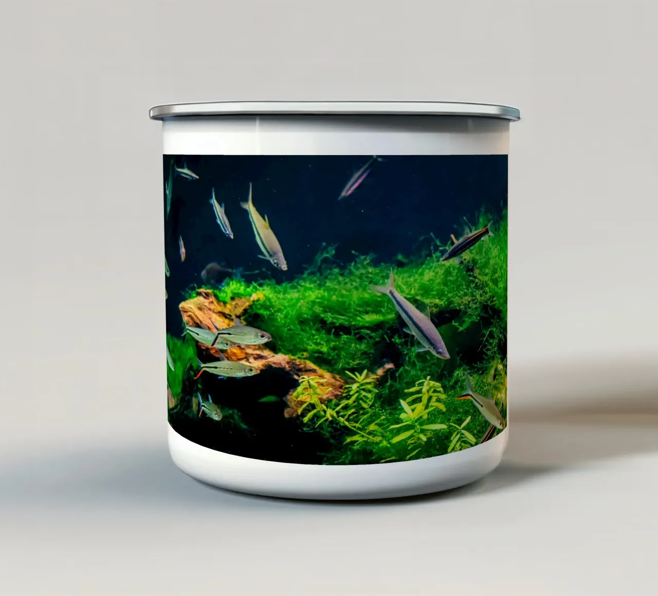 Corydoras in acquario tazza in smalto da isokun