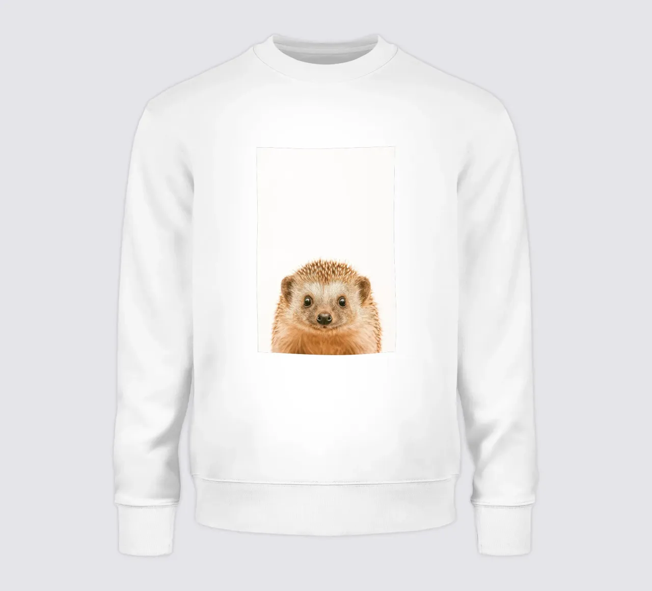 Studio Critter No. 6 - Little Spikeface sweatshirt van KidzStudio