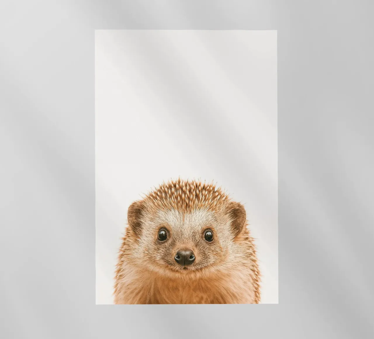 Studio Critter No. 6 - Little Spikeface pellicola backlit da KidzStudio