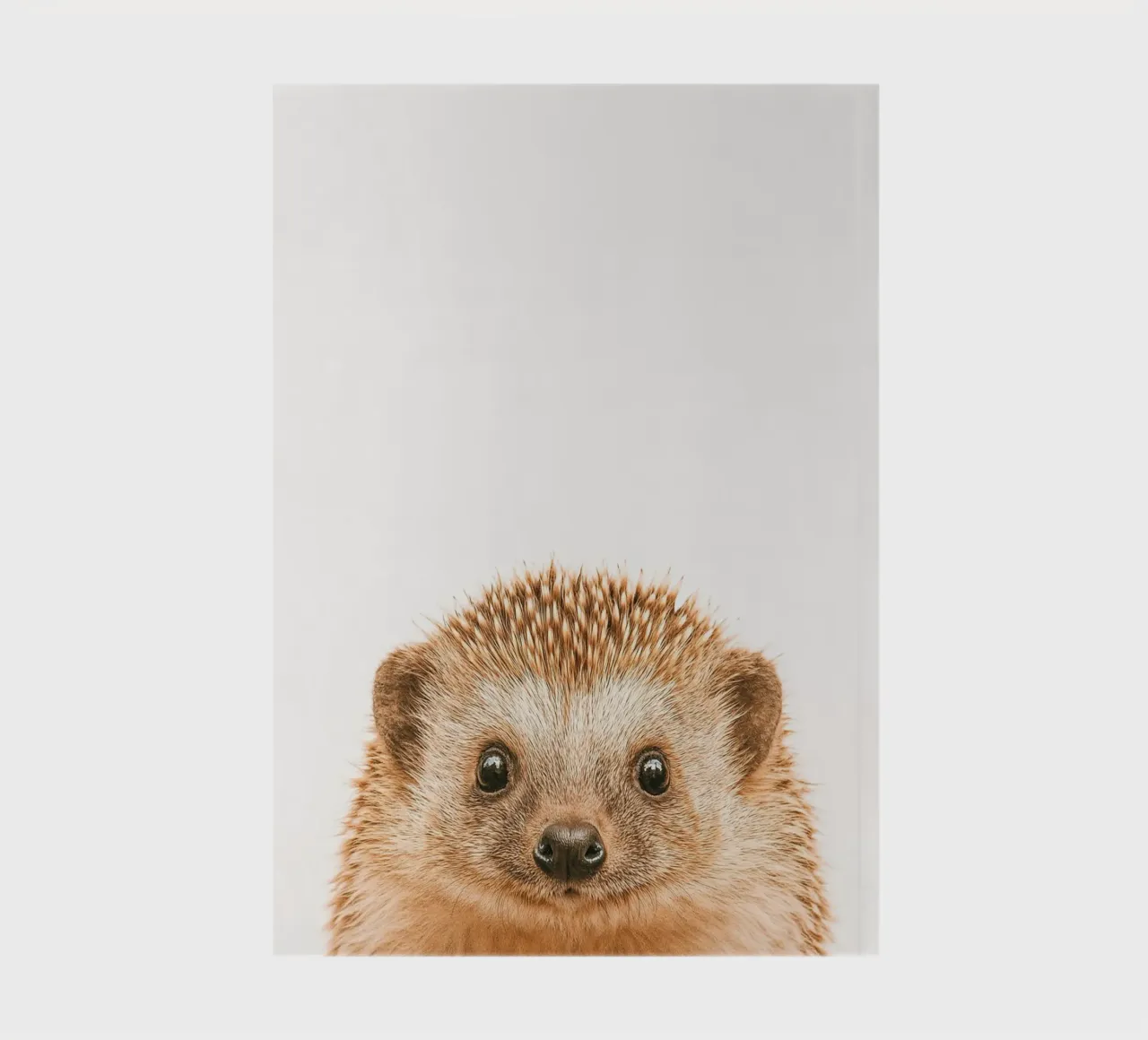 Studio Critter No. 6 - Little Spikeface notebook by KidzStudio