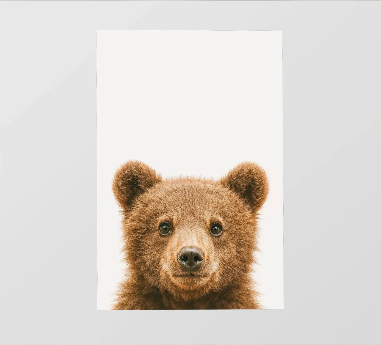 Studio Critter No. 7 - Baby Bruin pellicola backlit da KidzStudio