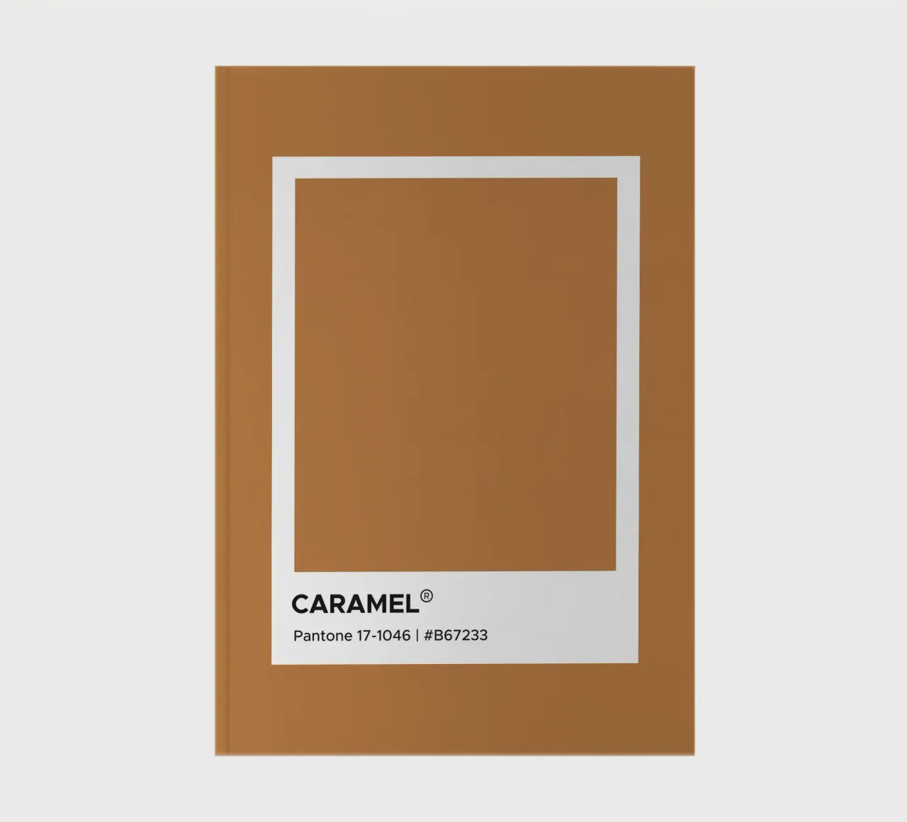 Caramel Pantone notebook by Paigaam Studio