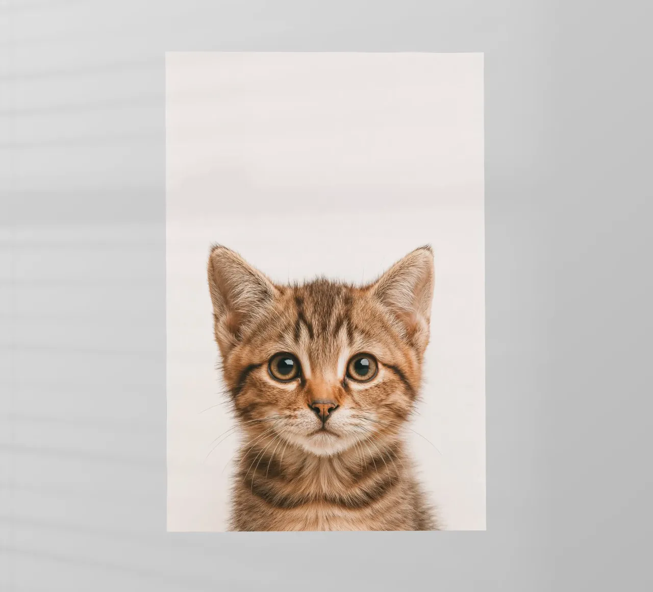 Studio Critter No. 10 - Little Feline Face pellicola backlit da KidzStudio