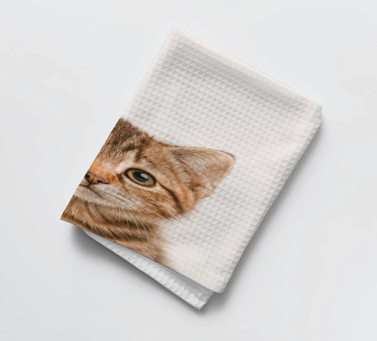 Studio Critter No. 10 - Little Feline Face canovaccio da cucina da KidzStudio