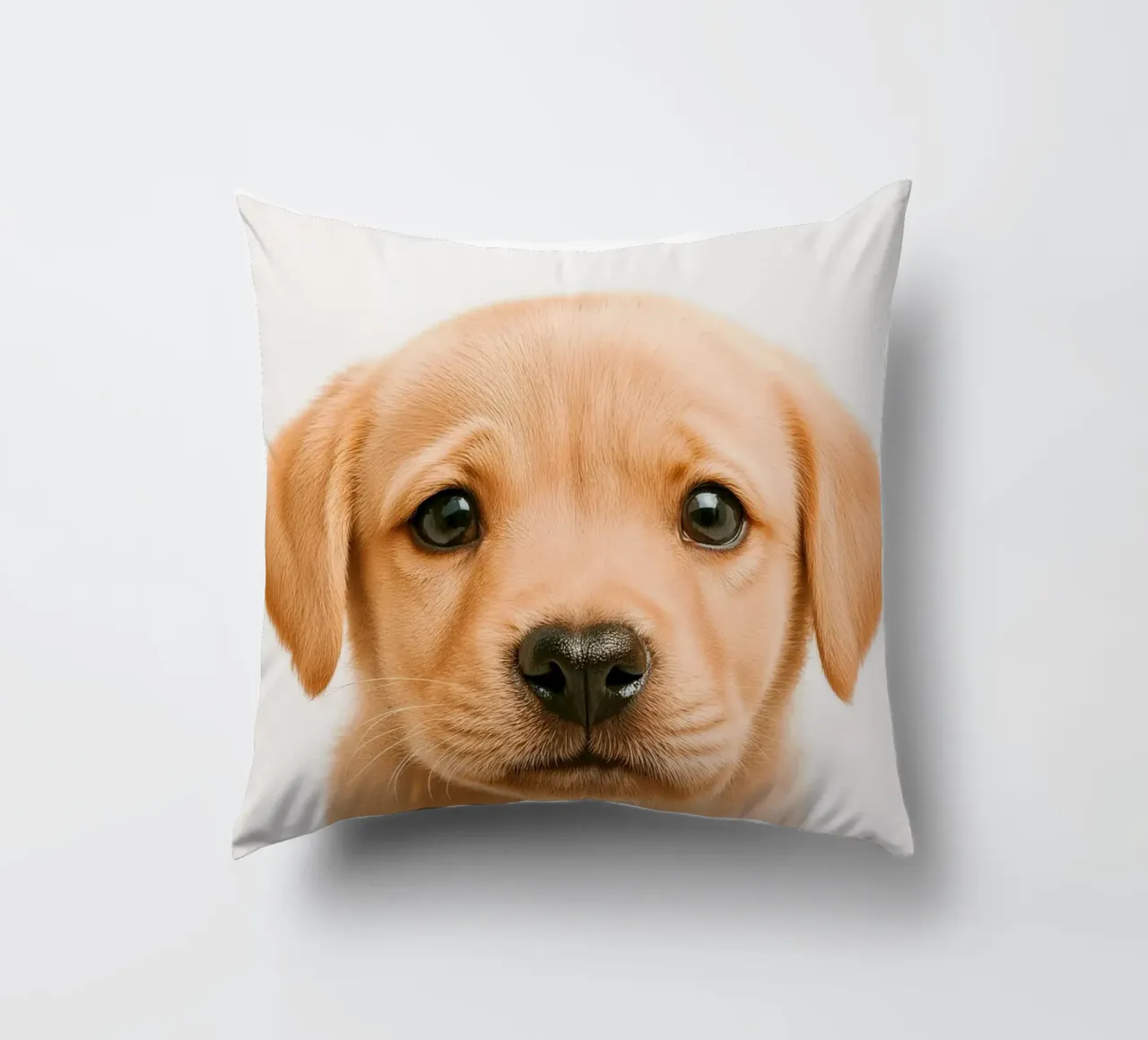 Studio Critter No. 11 - My Little Woof cuscino da KidzStudio