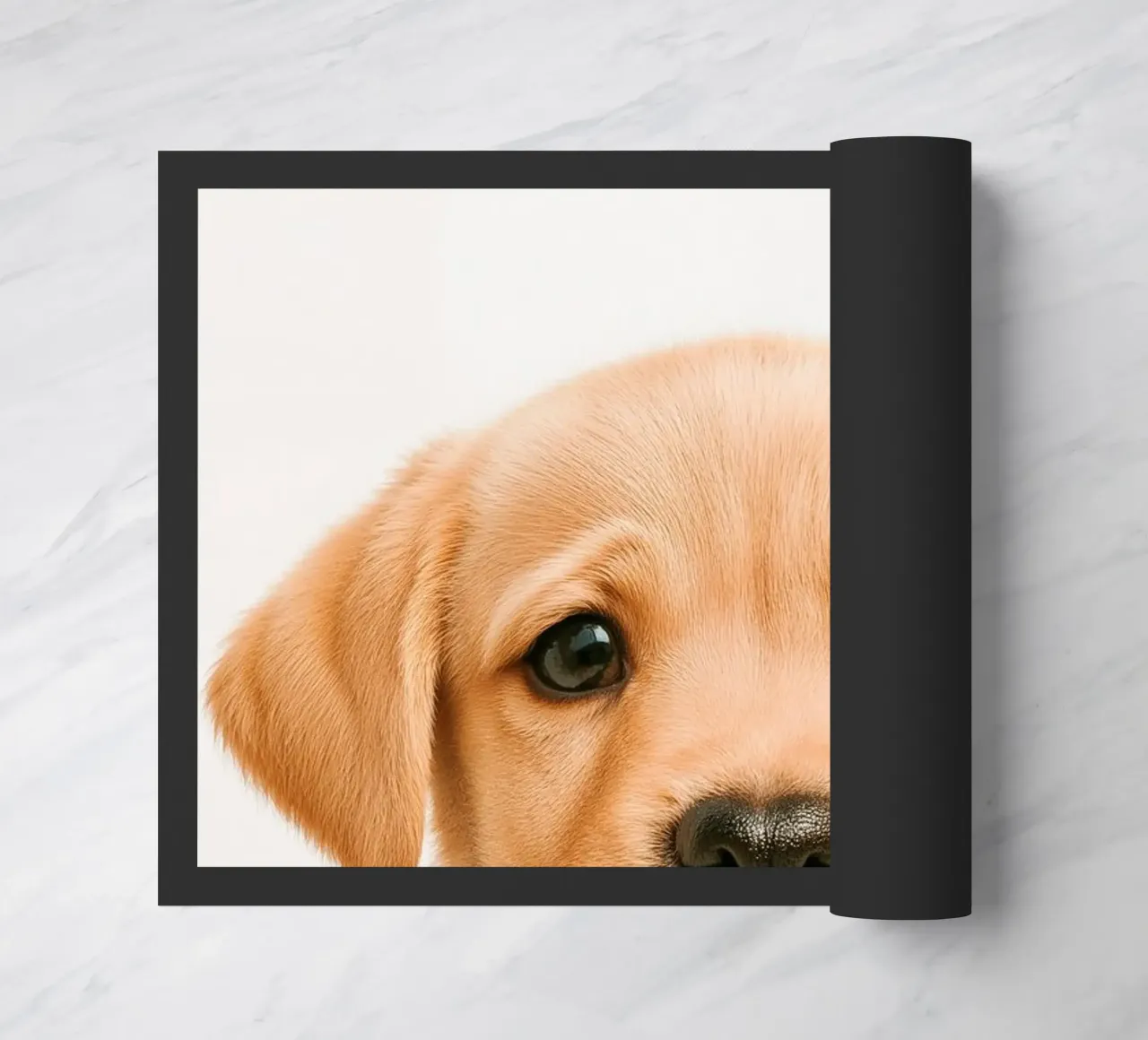 Studio Critter No. 11 - My Little Woof zerbino da KidzStudio