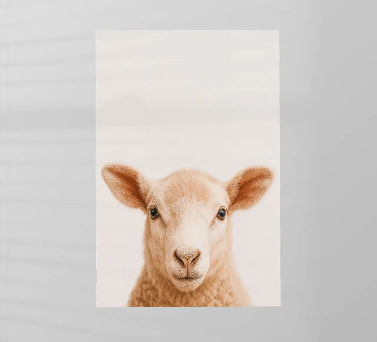 Studio Critter No. 13 - Little Woolface pellicola backlit da KidzStudio
