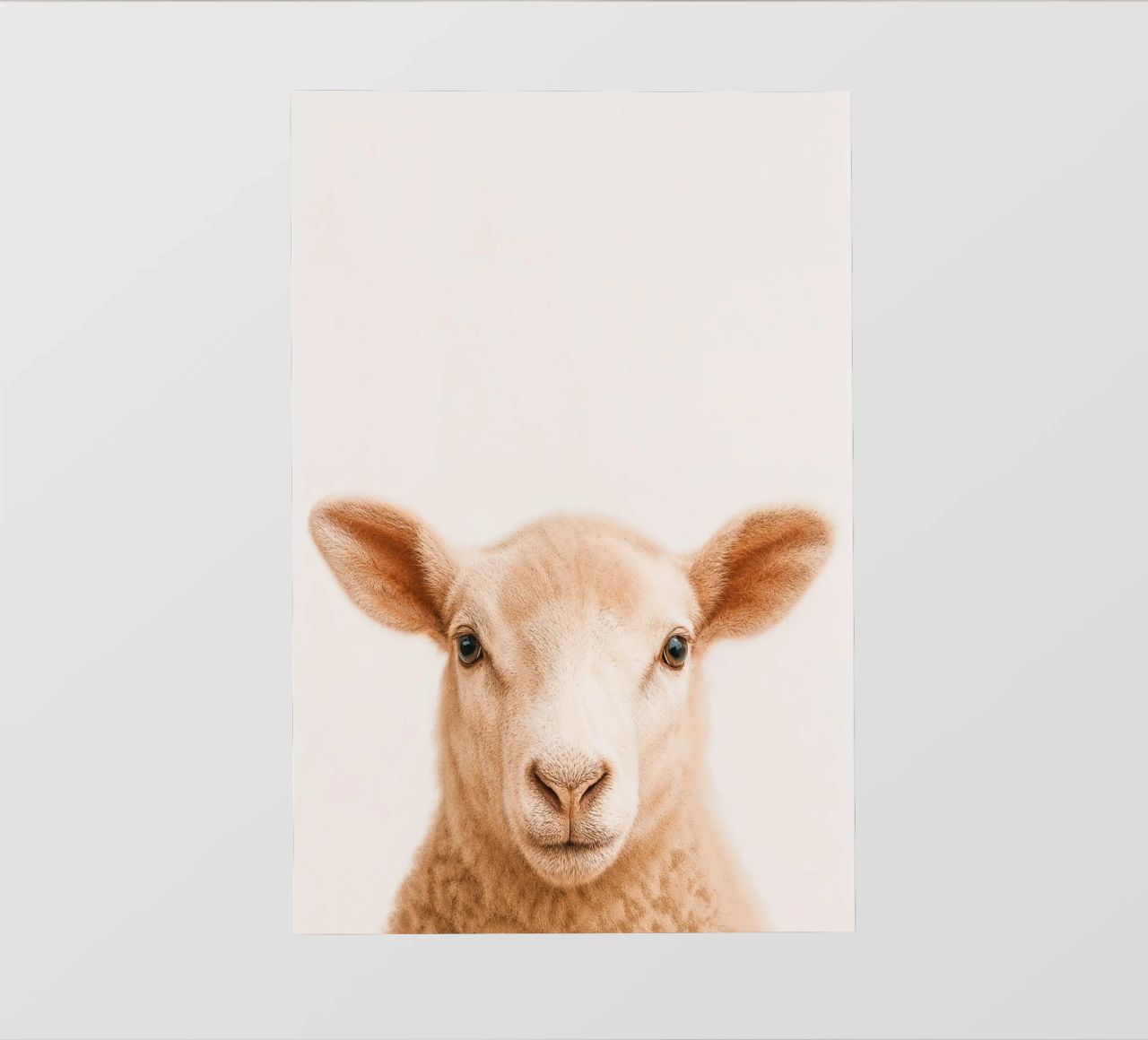 Studio Critter No. 13 - Little Woolface pellicola backlit da KidzStudio
