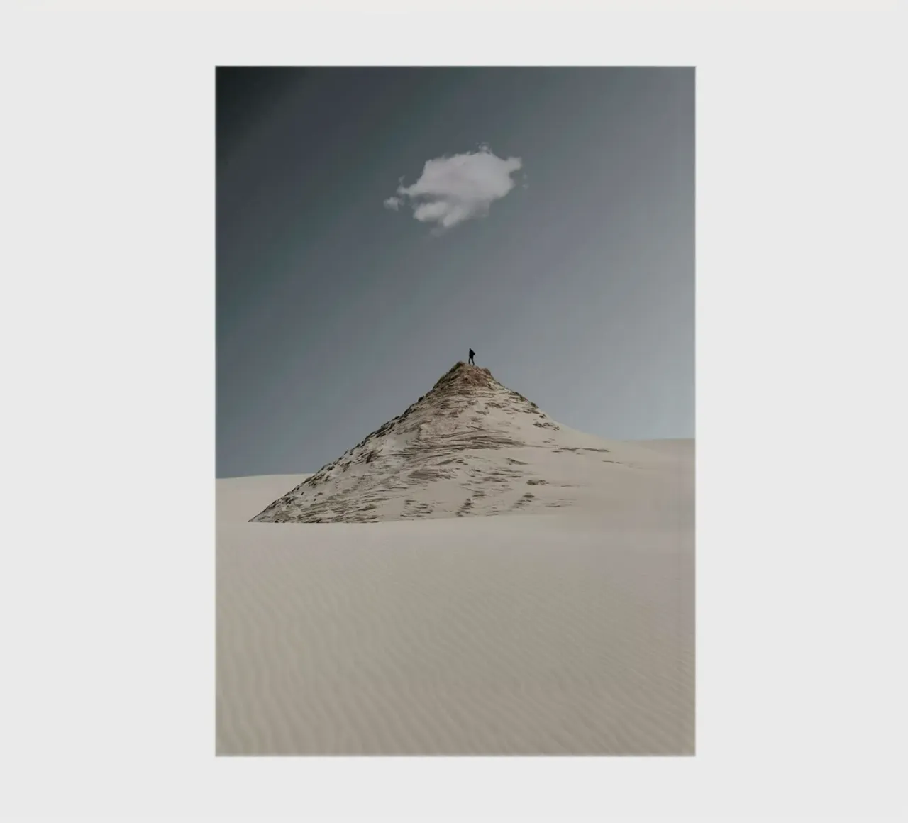 Last One Standing @AleksanderMałachowski notebook by EyeEm Mobile GmbH