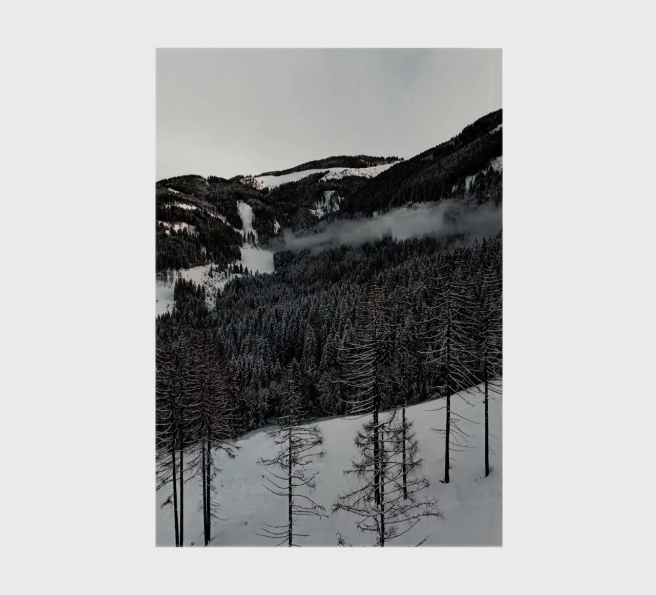 A Calm Winter's Day diario da Sebastian Hilgetag