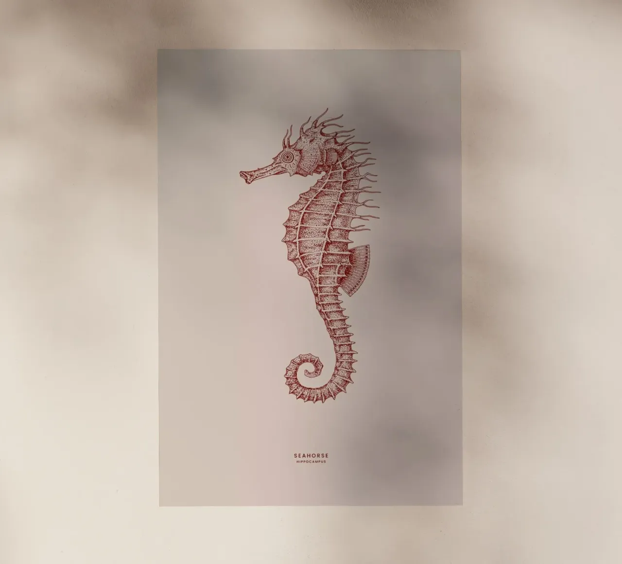 Seahorse II pellicola backlit da Flora & Fauna