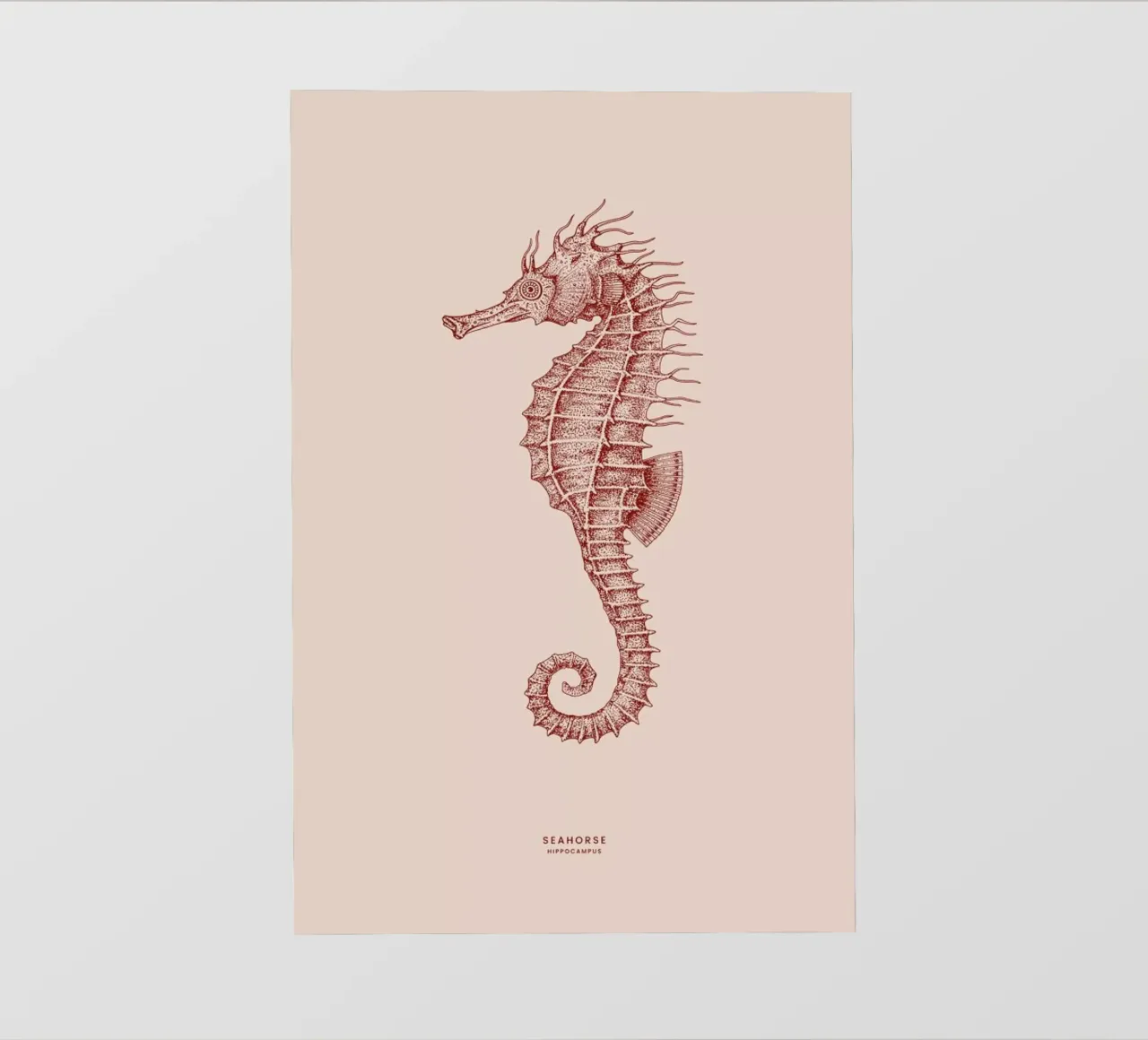 Seahorse II pellicola backlit da Flora & Fauna