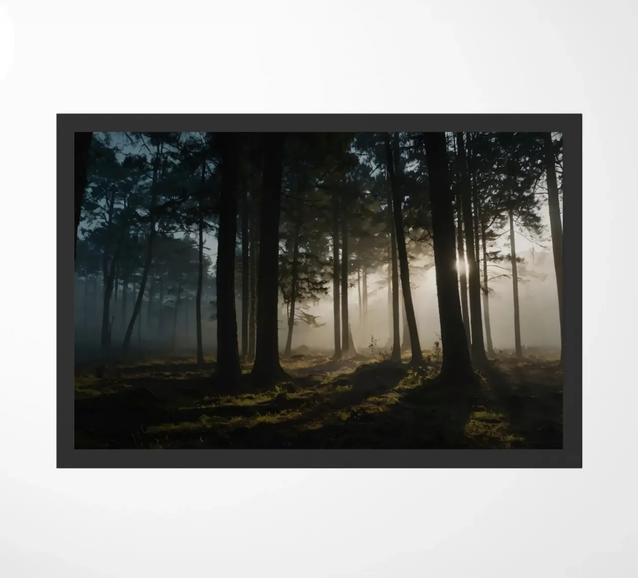 Lumière brumeuse du matin filtrant à travers les grands arbres paillasson de DesignDoodle