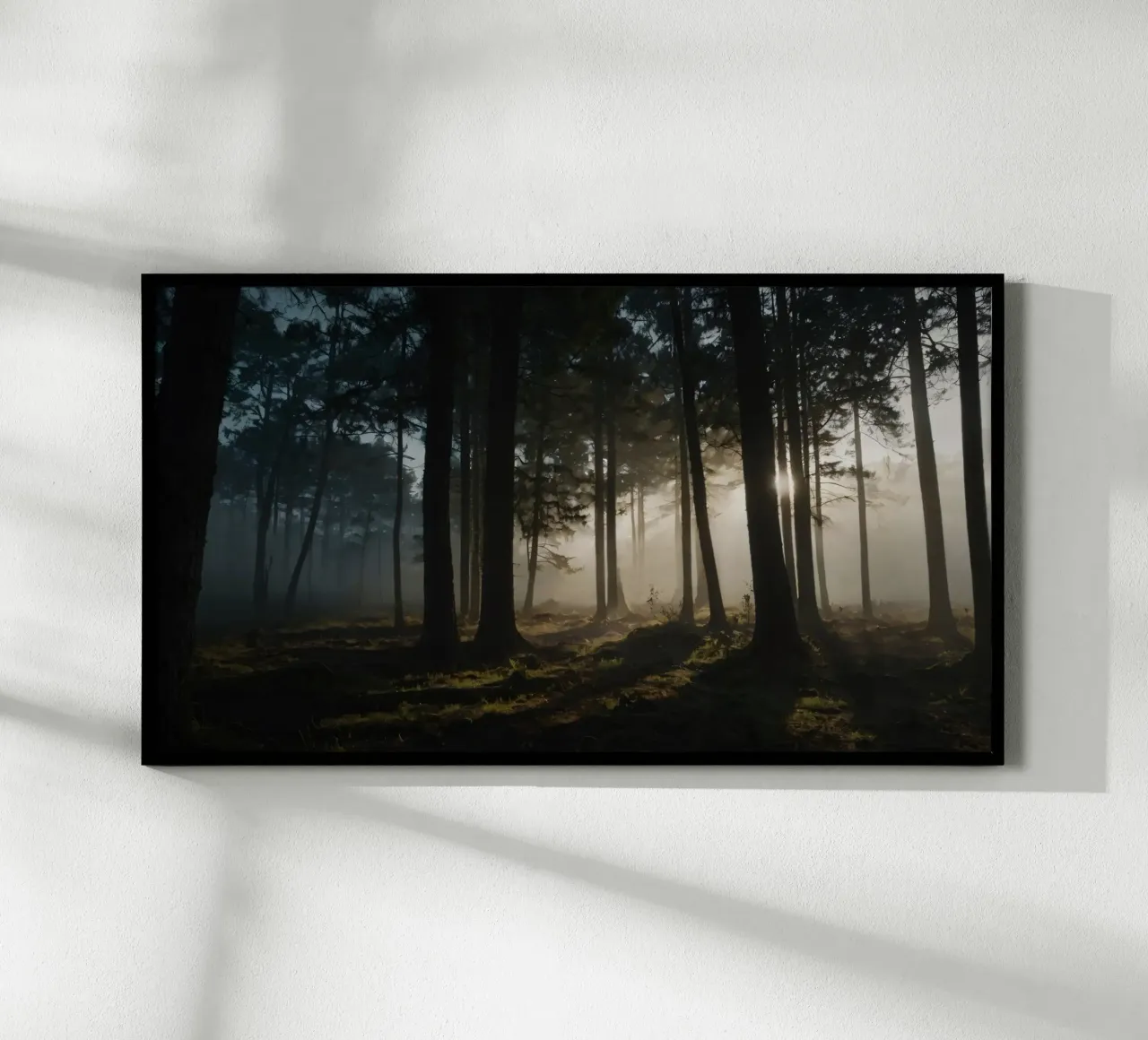 Lumière brumeuse du matin filtrant à travers les grands arbres hahnemühle de DesignDoodle