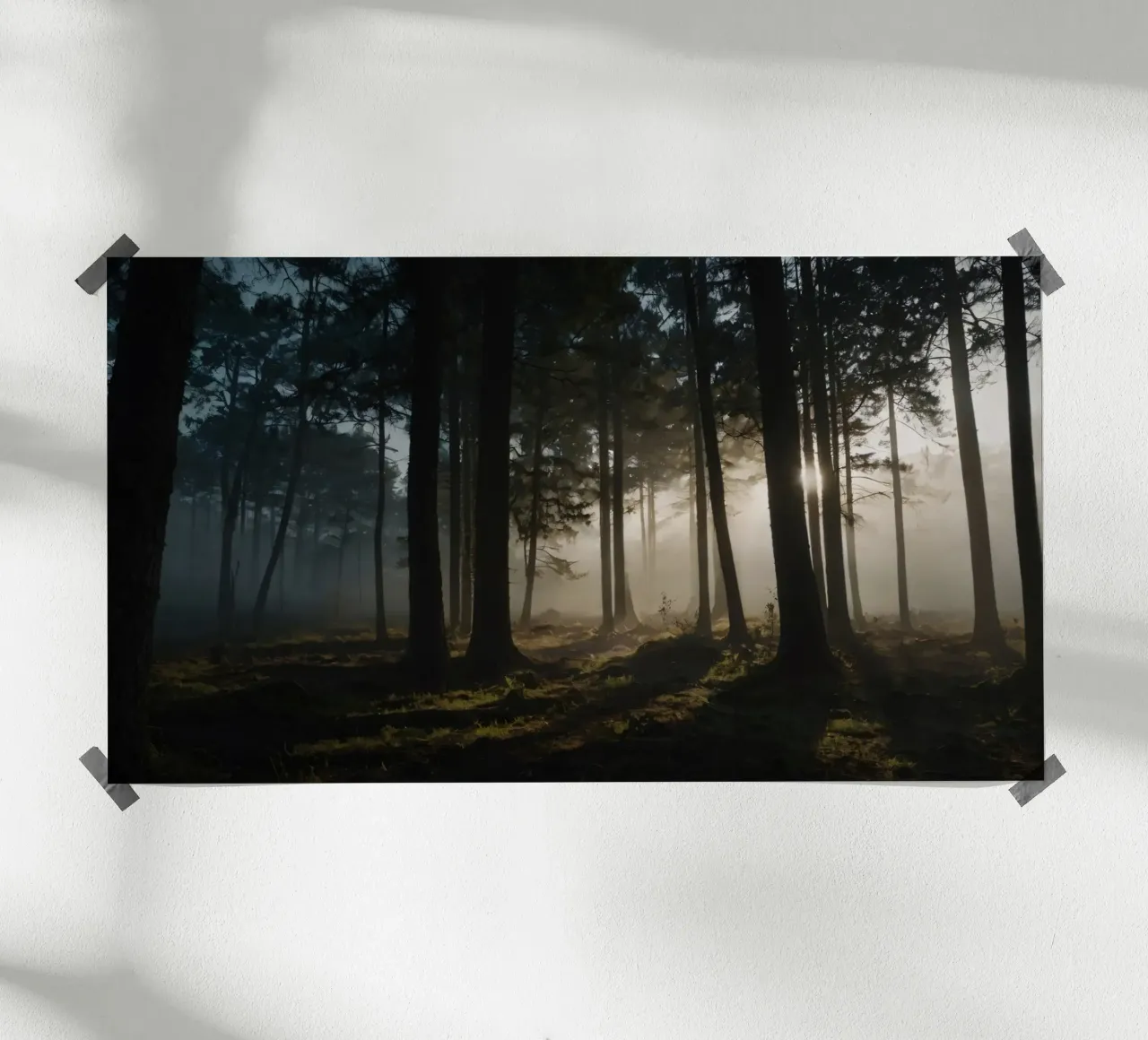Lumière brumeuse du matin filtrant à travers les grands arbres hahnemühle de DesignDoodle