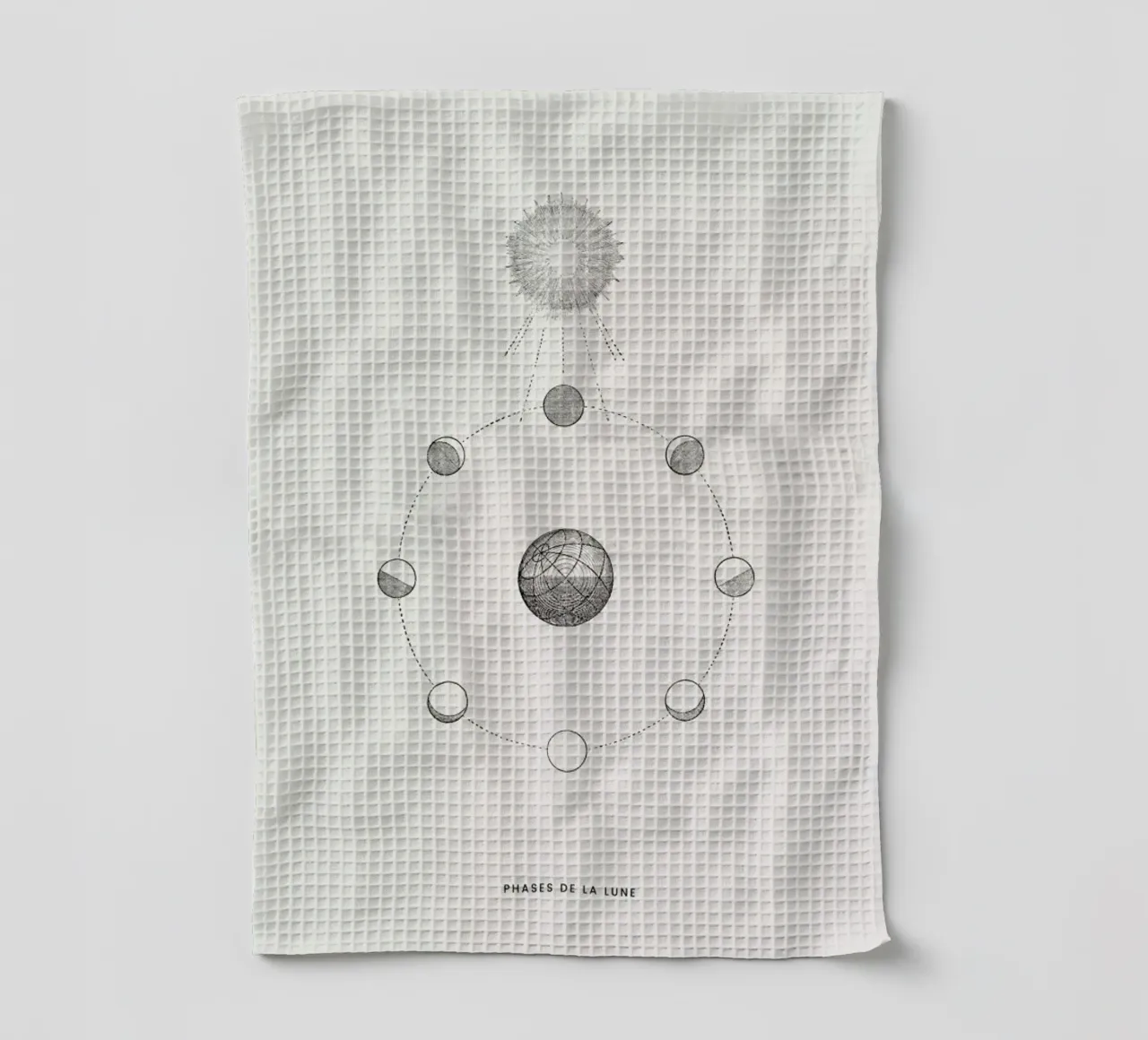 Phases de la Lune canovaccio da cucina da Flora & Fauna