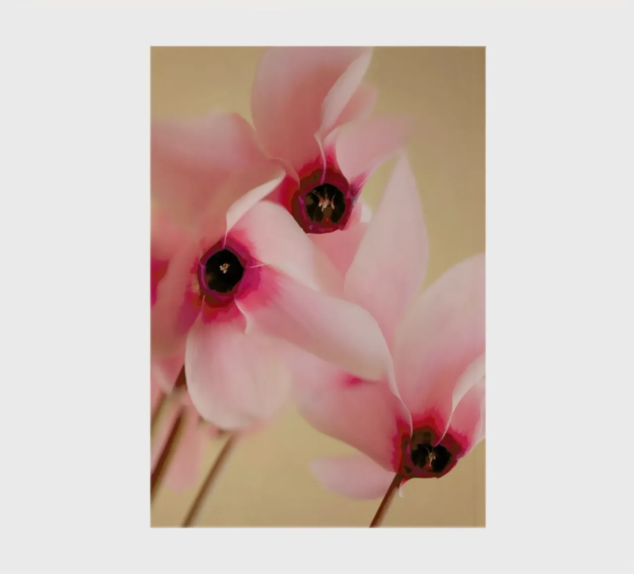 Pretty In Pink Notizbuch von Flora & Fauna