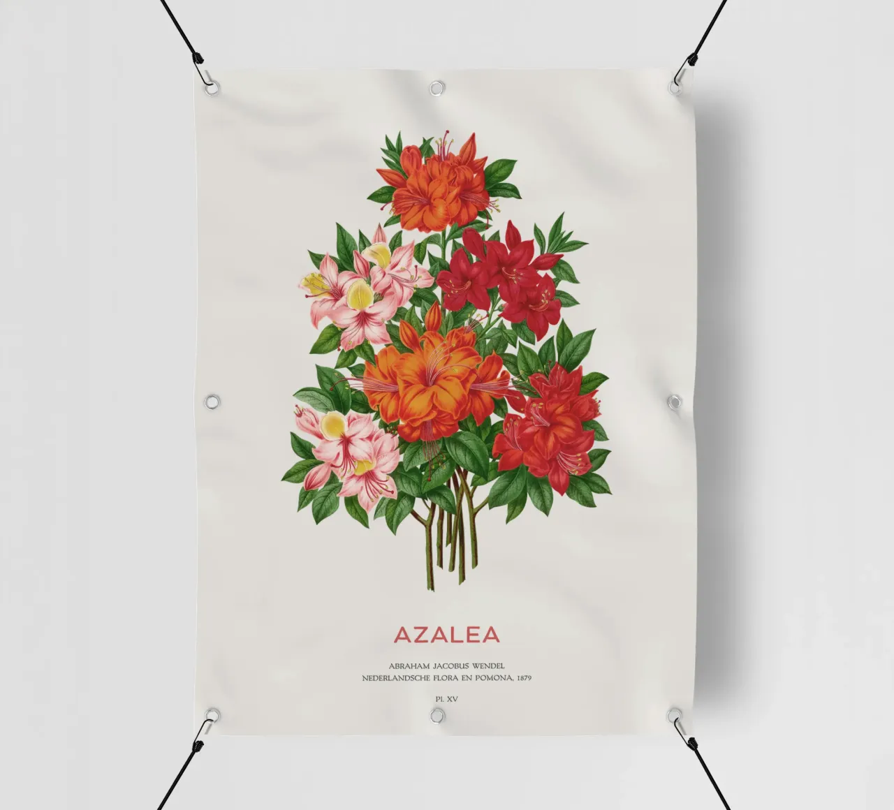 Fiori di azalea o rododendro telo in pvc da Vintagrafica