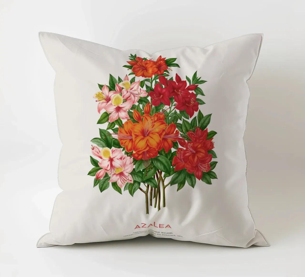 Fiori di azalea o rododendro cuscino da Vintagrafica