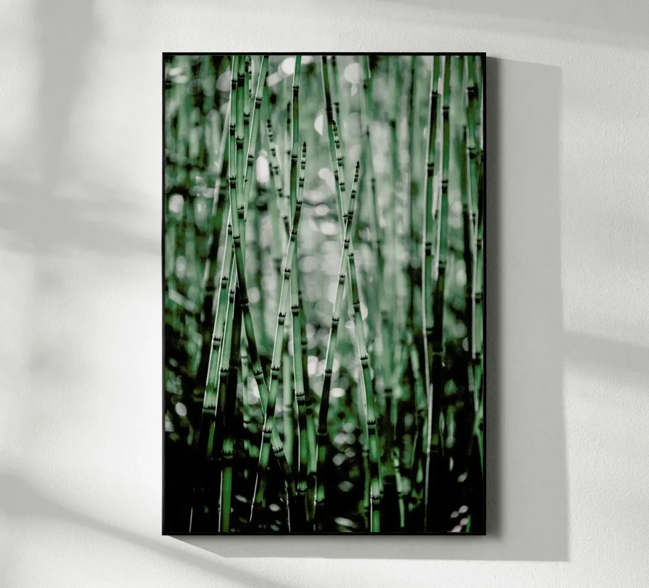 Green Bamboo plexiglass da Flora & Fauna
