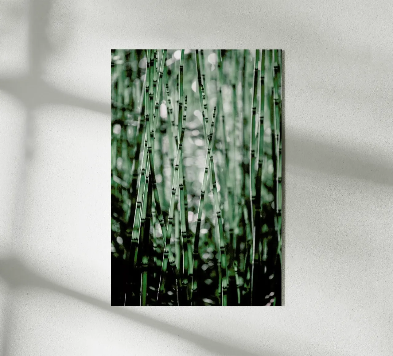 Green Bamboo plexiglass da Flora & Fauna