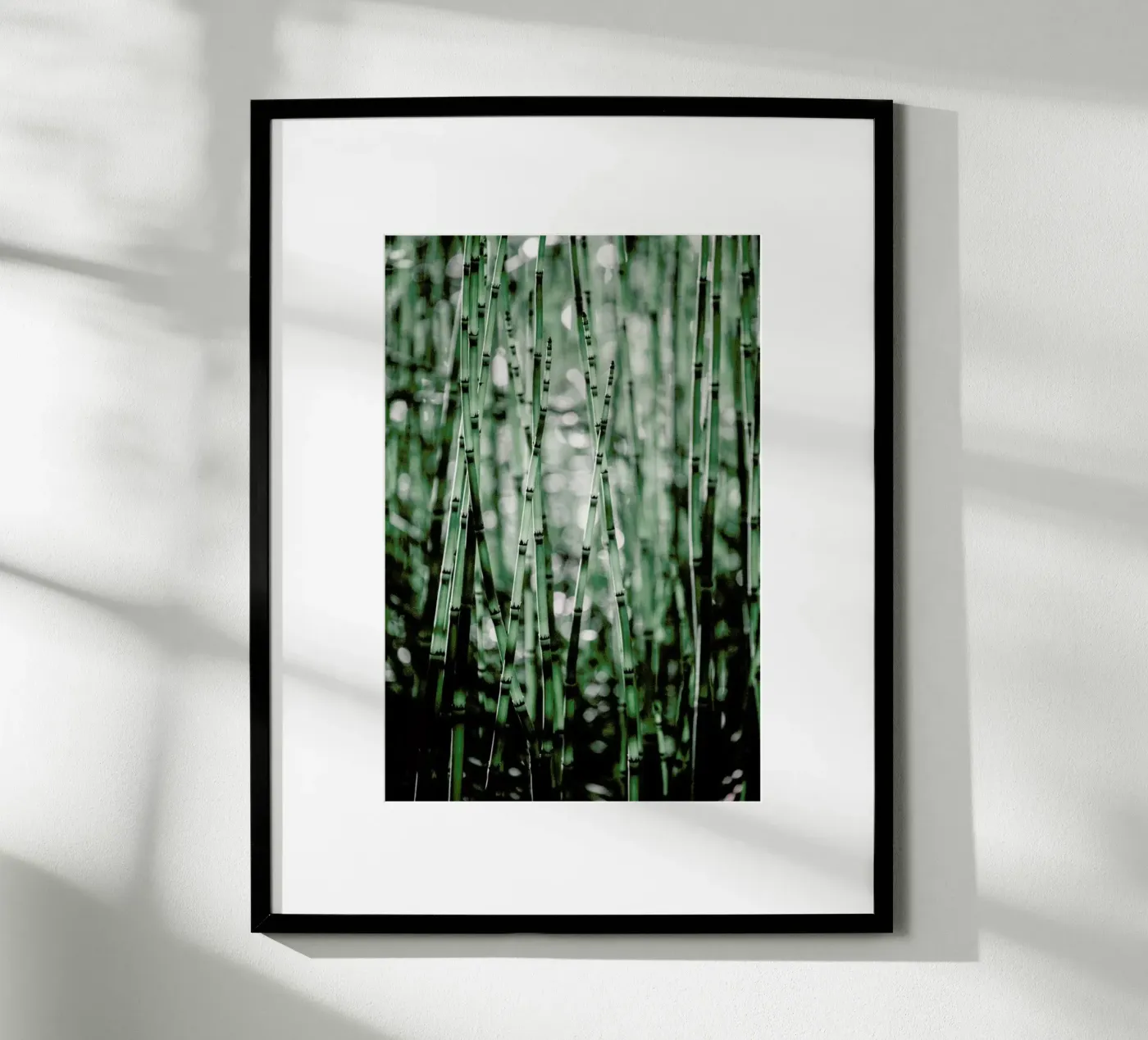 Green Bamboo poster da Flora & Fauna