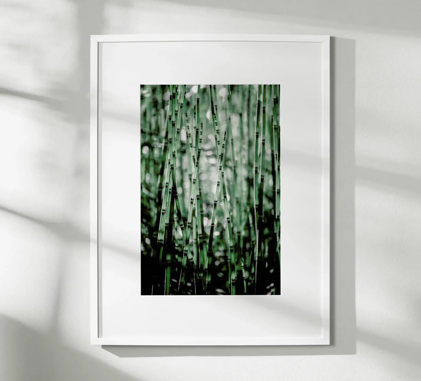 Green Bamboo poster da Flora & Fauna