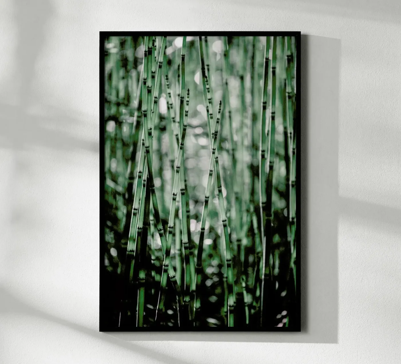 Green Bamboo poster da Flora & Fauna