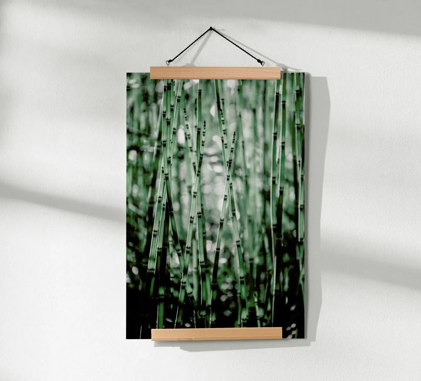 Green Bamboo poster da Flora & Fauna