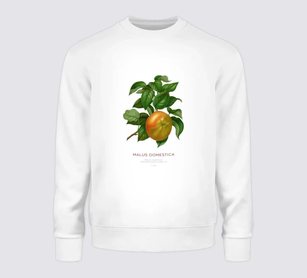 Botanische Apfelblütenkunst oder Malus domestica Sweatshirt von Vintagrafica
