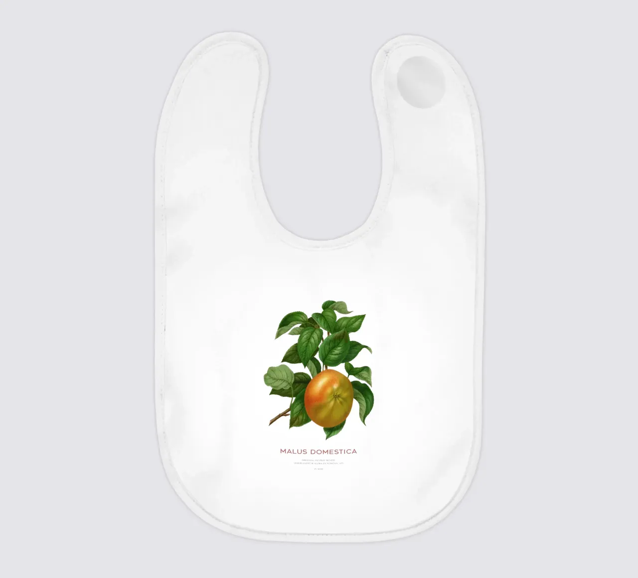 Botanische Apfelblütenkunst oder Malus domestica Babylätzchen von Vintagrafica