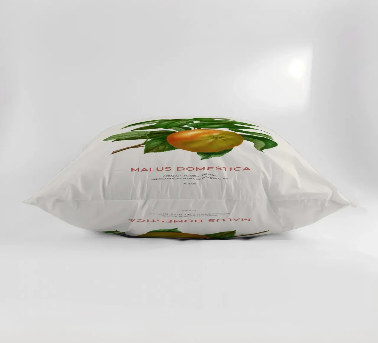 Botanical Apple Blossom Art or Malus domestica decorative cushion by Vintagrafica