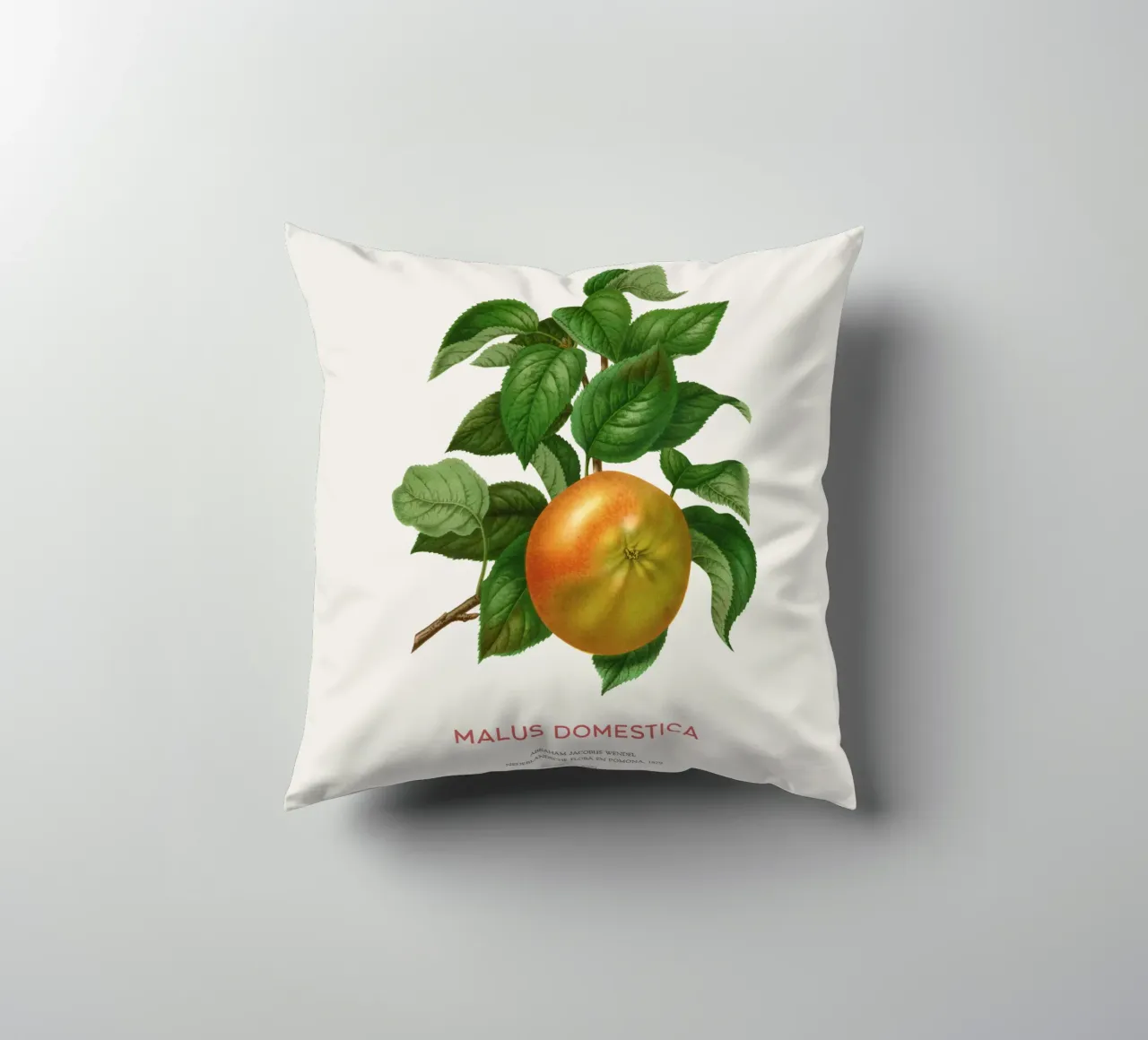 Botanical Apple Blossom Art or Malus domestica decorative cushion by Vintagrafica